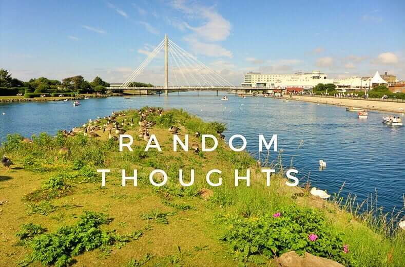 Random Thoughts: October Wrap Up